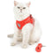 Pettix Adjustable Cat & Dog Vest Harness with Reflective Strap│Small Size