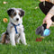 TenderPaw Portable Dog Poop Scooper with Waste Bag Dispenser - Ooala